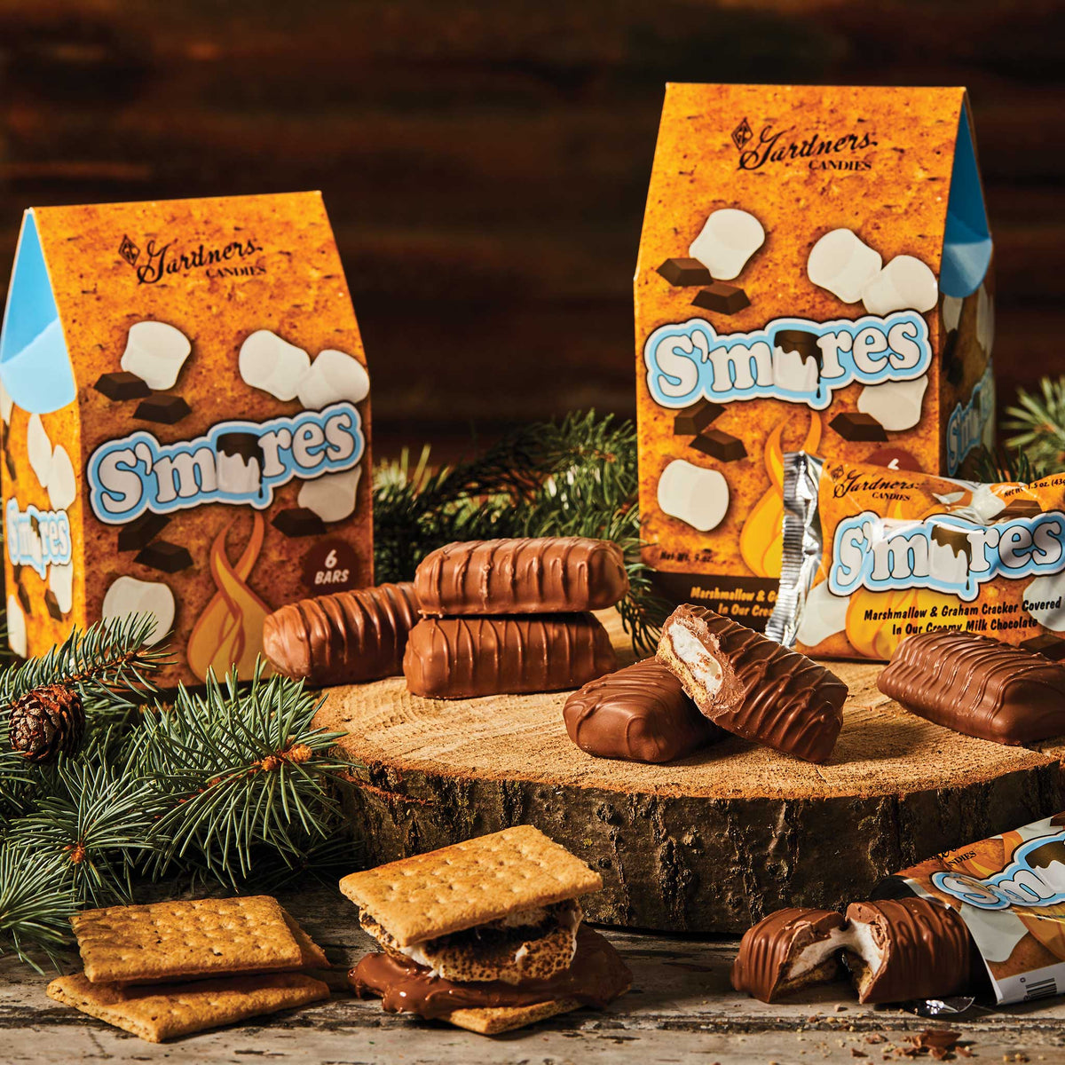 S'mores Bars Box Box (6 Bars) Box
